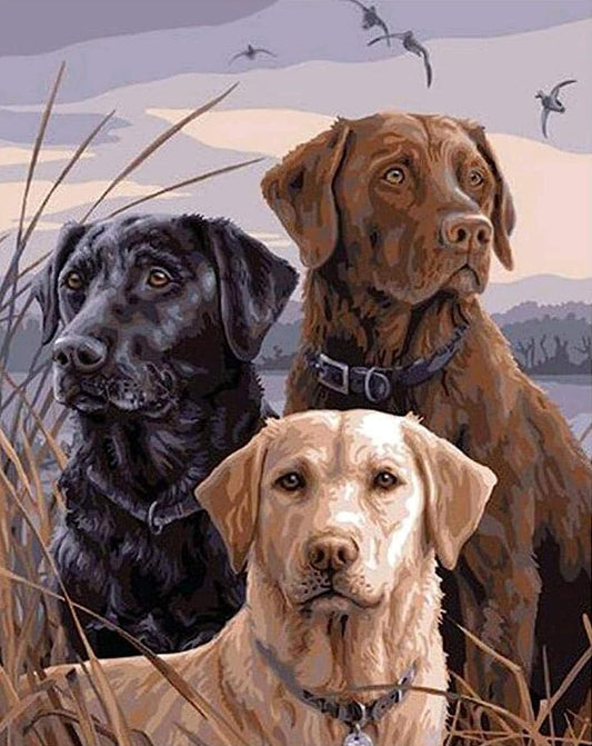 Luxury AB Velvet Diamond Painting Kit - Three dogs