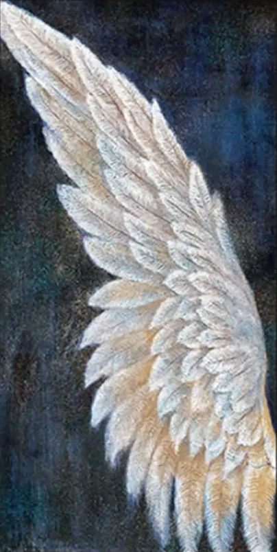 Luxury AB Velvet Diamond Painting Kit -  A pair of wings