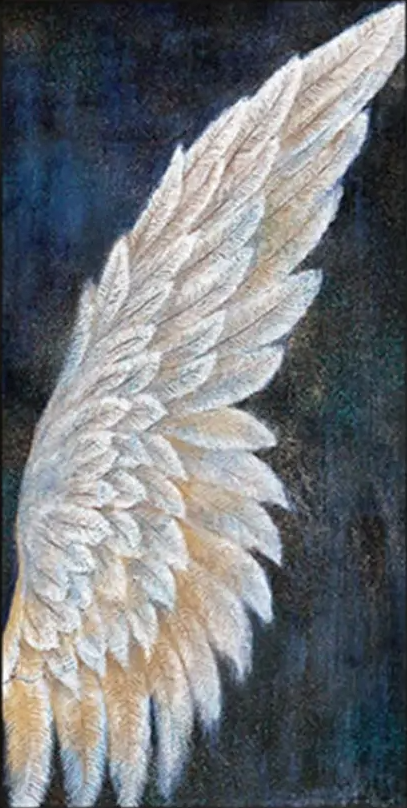 Luxury AB Velvet Diamond Painting Kit -  A pair of wings